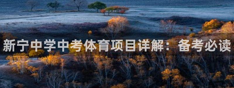 星欧娱乐的创始人背景故事介绍