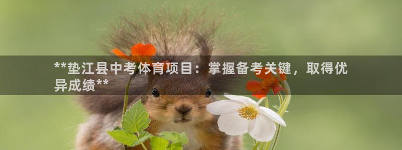 星欧娱乐平台怎么样啊安全吗