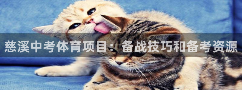 星欧娱乐最建议买的三个产品有哪些