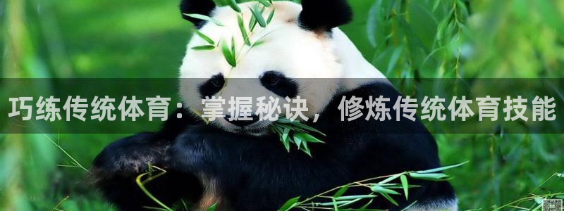 星奥娱乐待遇怎么样