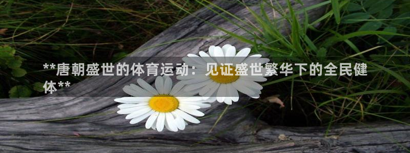 星欧娱乐联客服联系方式