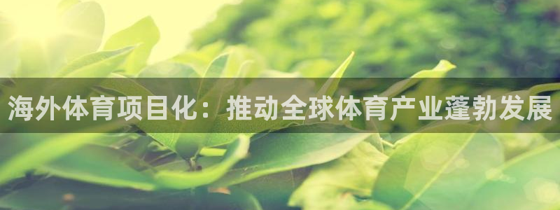 星欧娱乐官网下载安卓
