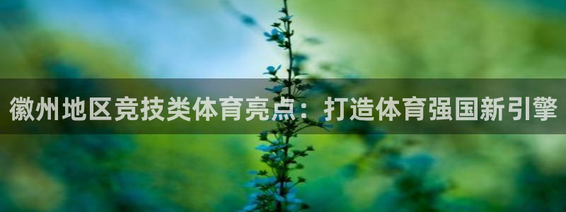 江苏星奥娱乐有限公司招聘