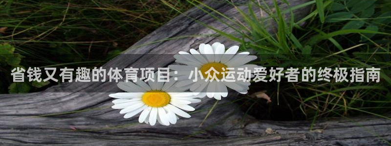 星欧娱乐巴711.112扣费记录查询方法
