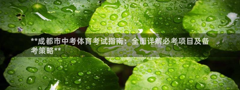 星欧娱乐官方客服联系方式