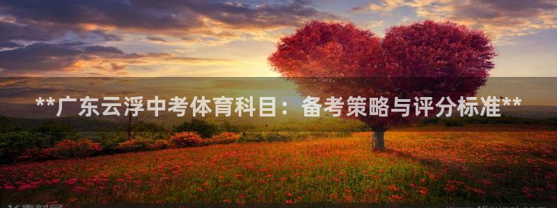 星欧娱乐扣款流程详解图片大全