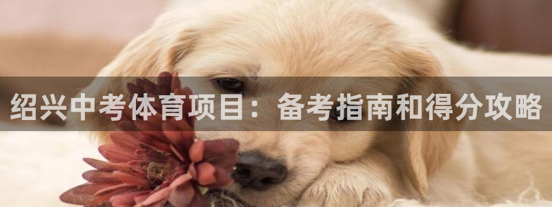 星欧娱乐app最新版本更新内容