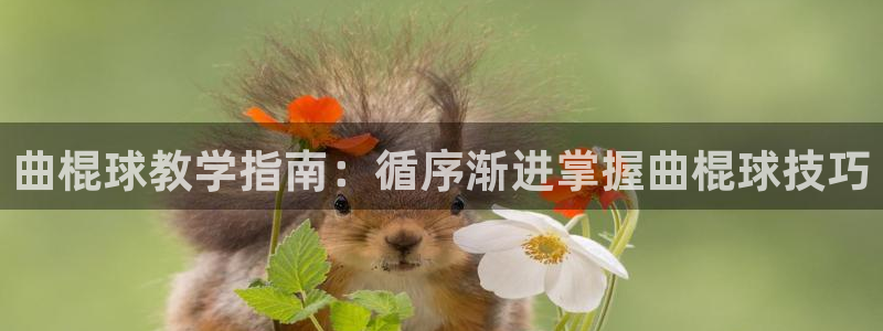 星欧娱乐平台怎么样知乎