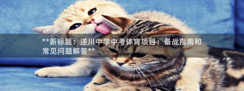星欧娱乐测速