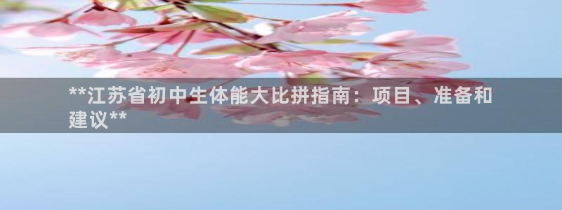 星欧娱乐属于什么档次的公司啊