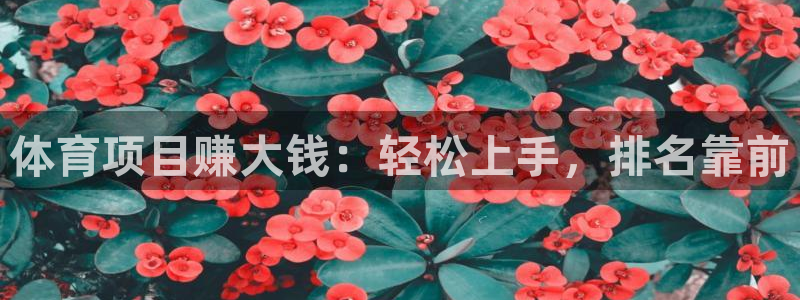 星奥娱乐集团股份有限公司