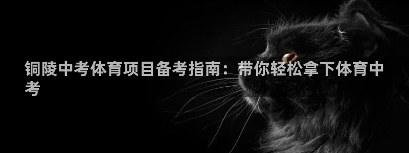 星欧娱乐平台怎么样可靠吗知乎