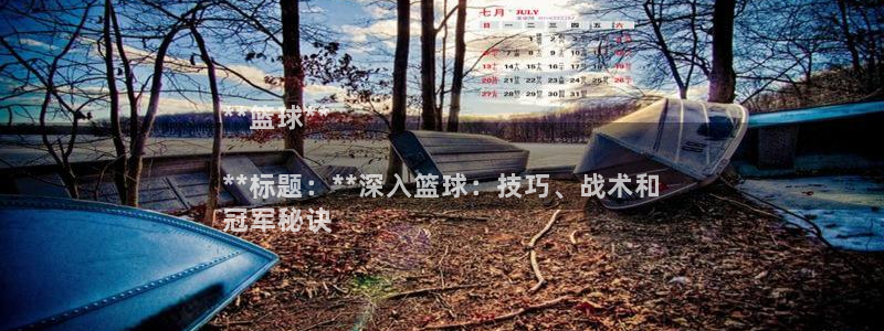 星奥娱乐怎么样