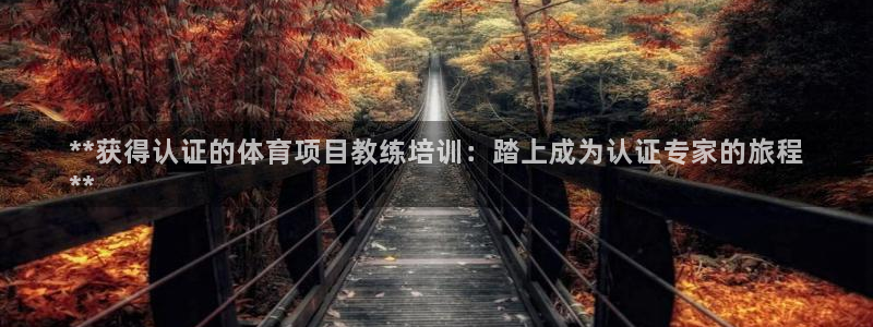 星娱乐是谁的公司