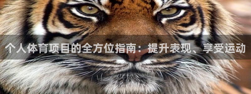 星欧娱乐扣款时间查询方法是什么呢