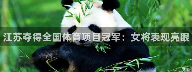 星欧娱乐工711.112怎么没有了