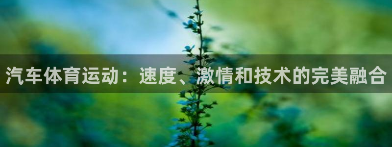 星奥娱乐集团怎么样