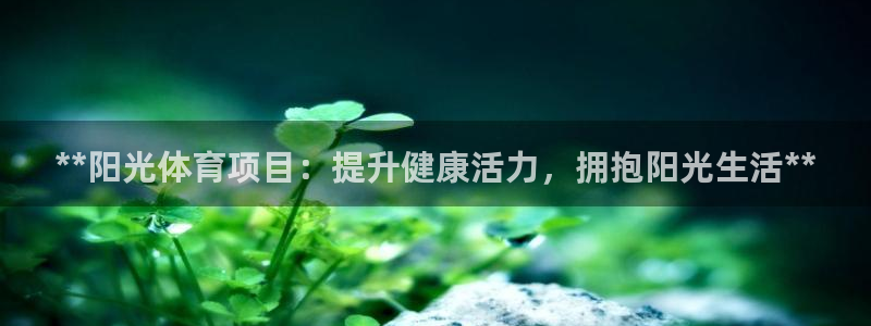 星欧娱乐属于什么档次的公司啊