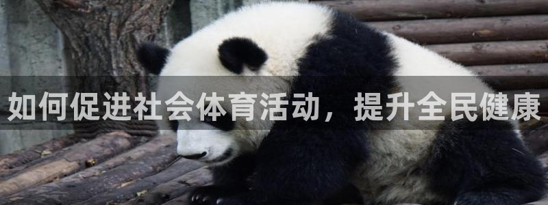 星澳娱乐公司简介