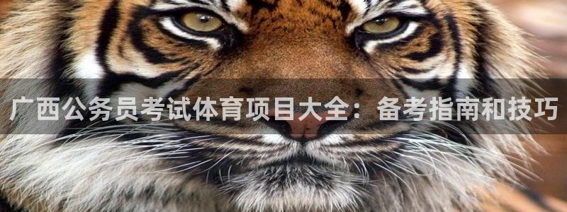 江苏星奥娱乐有限公司出过哪些艺人