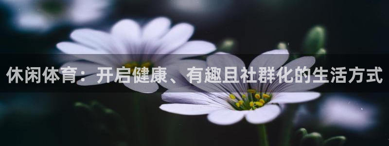 星欧娱乐