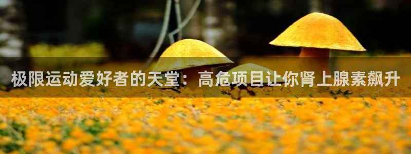 星欧娱乐扣款流程详解图