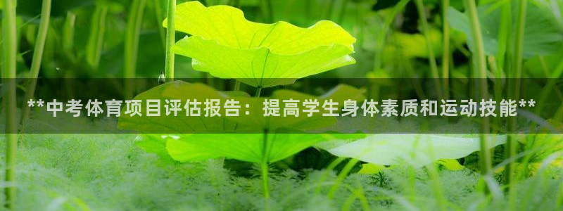 星奥娱乐集团股份有限公司官网