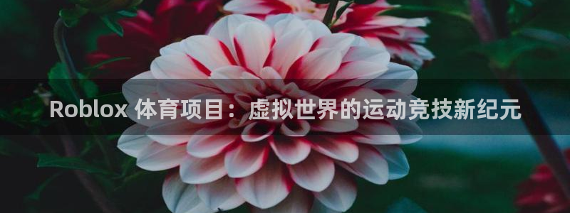 星欧娱乐挂机