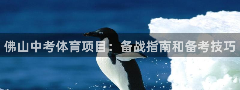 星欧娱乐扣款流程详解视频教程
