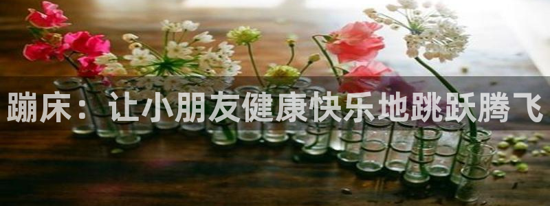 星游娱乐下载地址