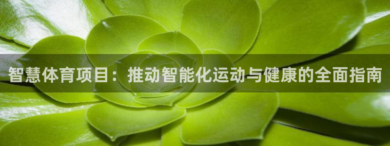 星奥娱乐集团怎么样