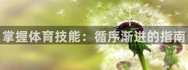 新星娱乐怎么开挂