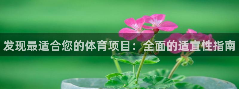 星欧娱乐退款流程详解