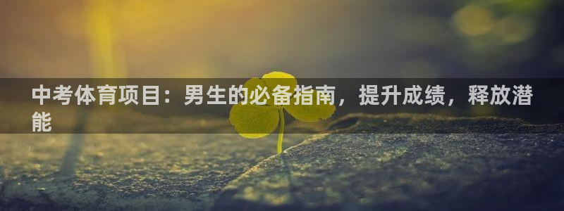 星欧娱乐app最新版本更新内容