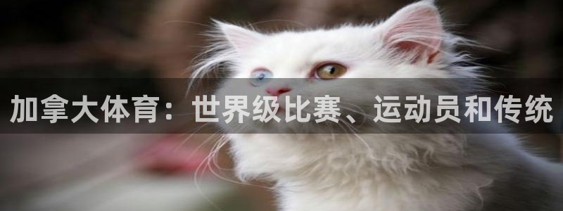 星欧娱乐最建议买的三个游戏账号