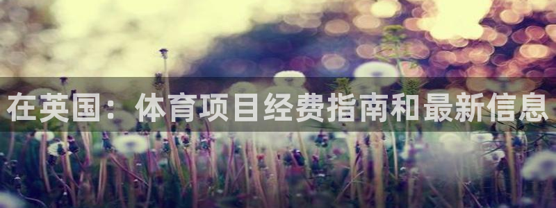 星娱乐文化传媒
