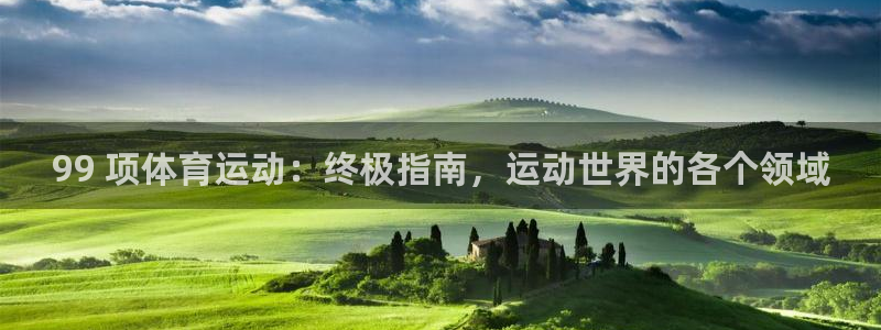 星娱乐文化传媒有限公司