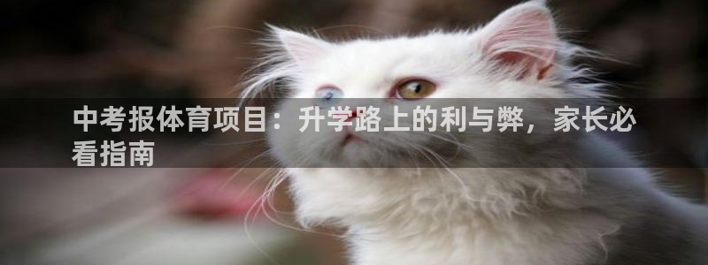 星游娱乐1官网下载