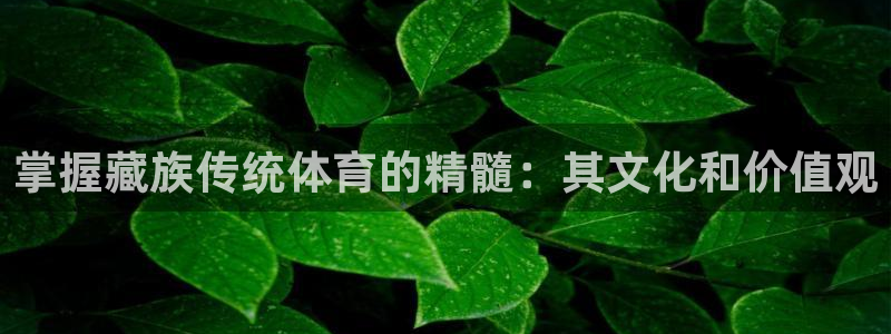 星欧娱乐最建议买的三个产品是什么