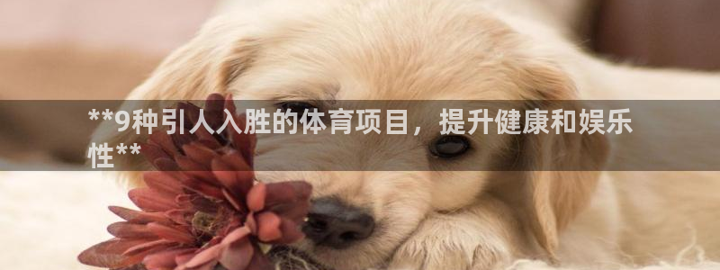 星欧娱乐属于什么档次的公司
