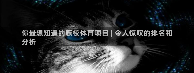 星欧娱乐平台怎么样知乎