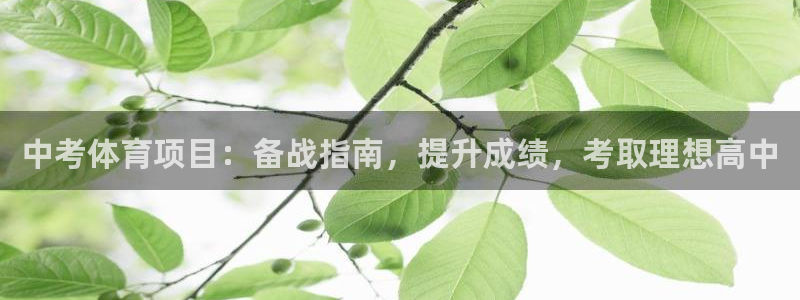 星欧娱乐平台测速线路