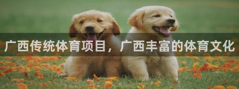 星欧娱乐官方客服联系方式是什么