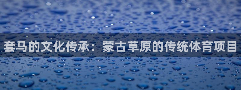星欧娱乐的官方版本更新内容