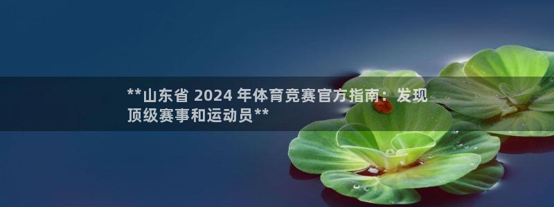 星欧娱乐扣款