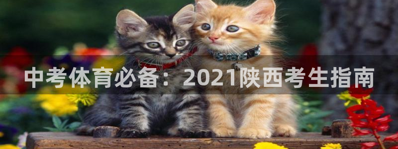 星欧娱乐联客服联系方式