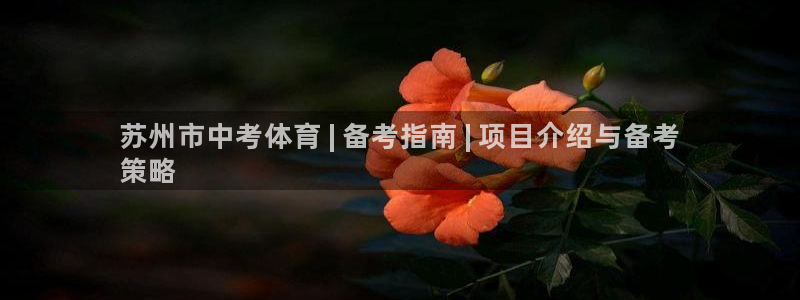 星欧娱乐挂机赚钱是真的吗