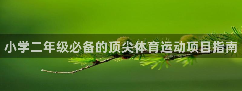 星欧娱乐扣款时间查询方法怎么查不到