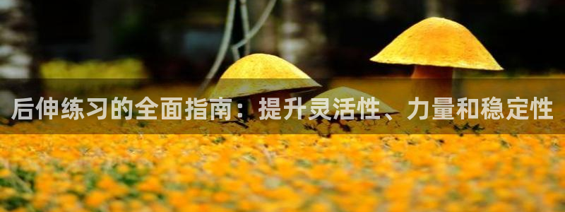 星欧娱乐联最新新闻