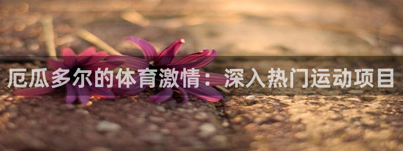 星欧娱乐公司创始人背景故事